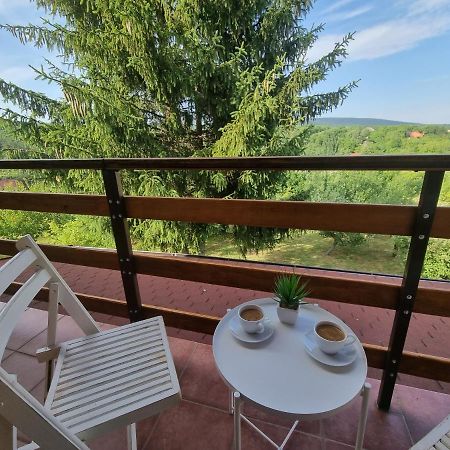Вілла Hoopovo House Fruska Gora Irig Екстер'єр фото